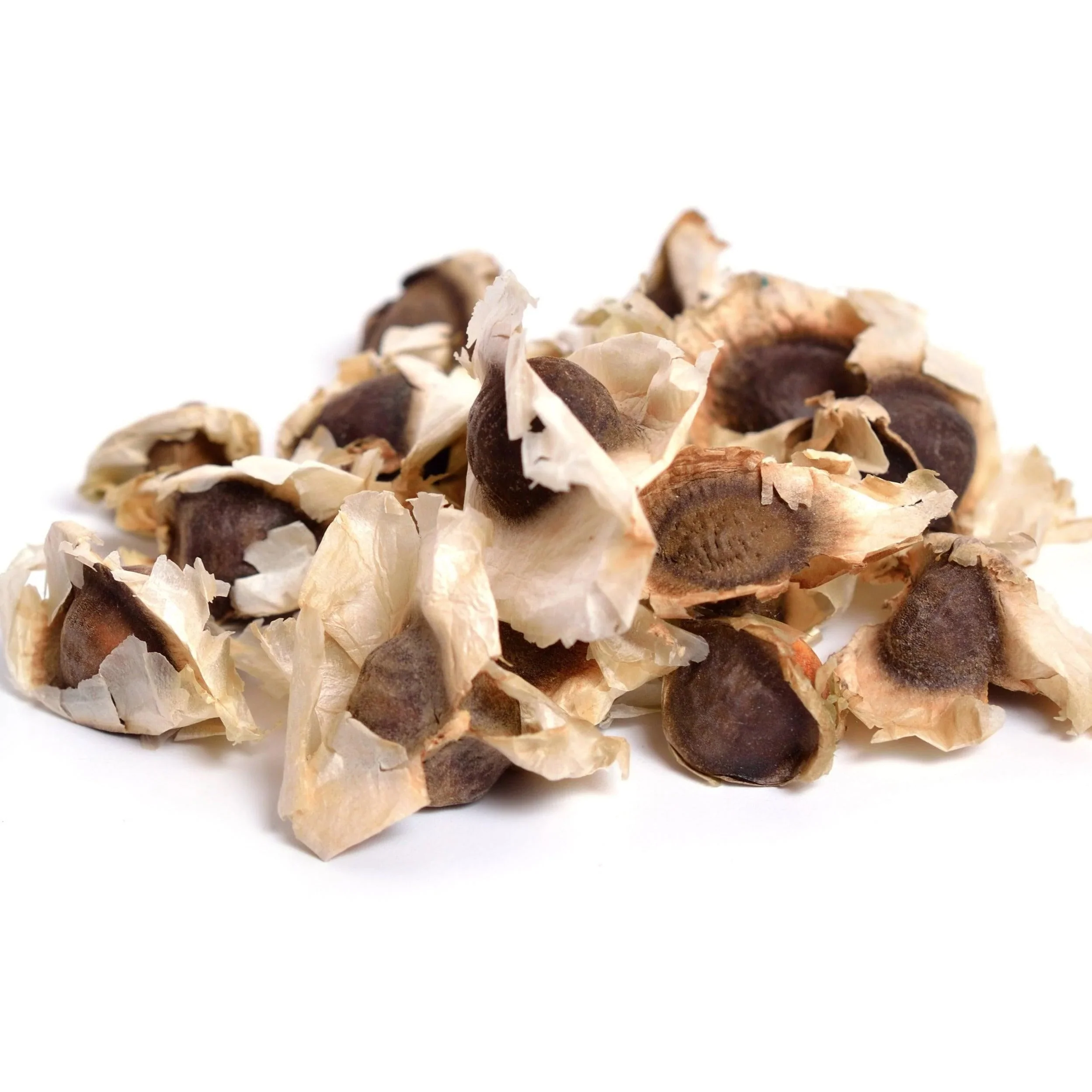 Moringa Seeds – Image 4