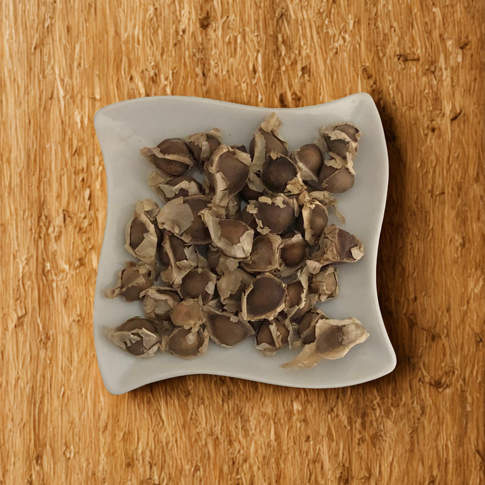 Moringa Seeds