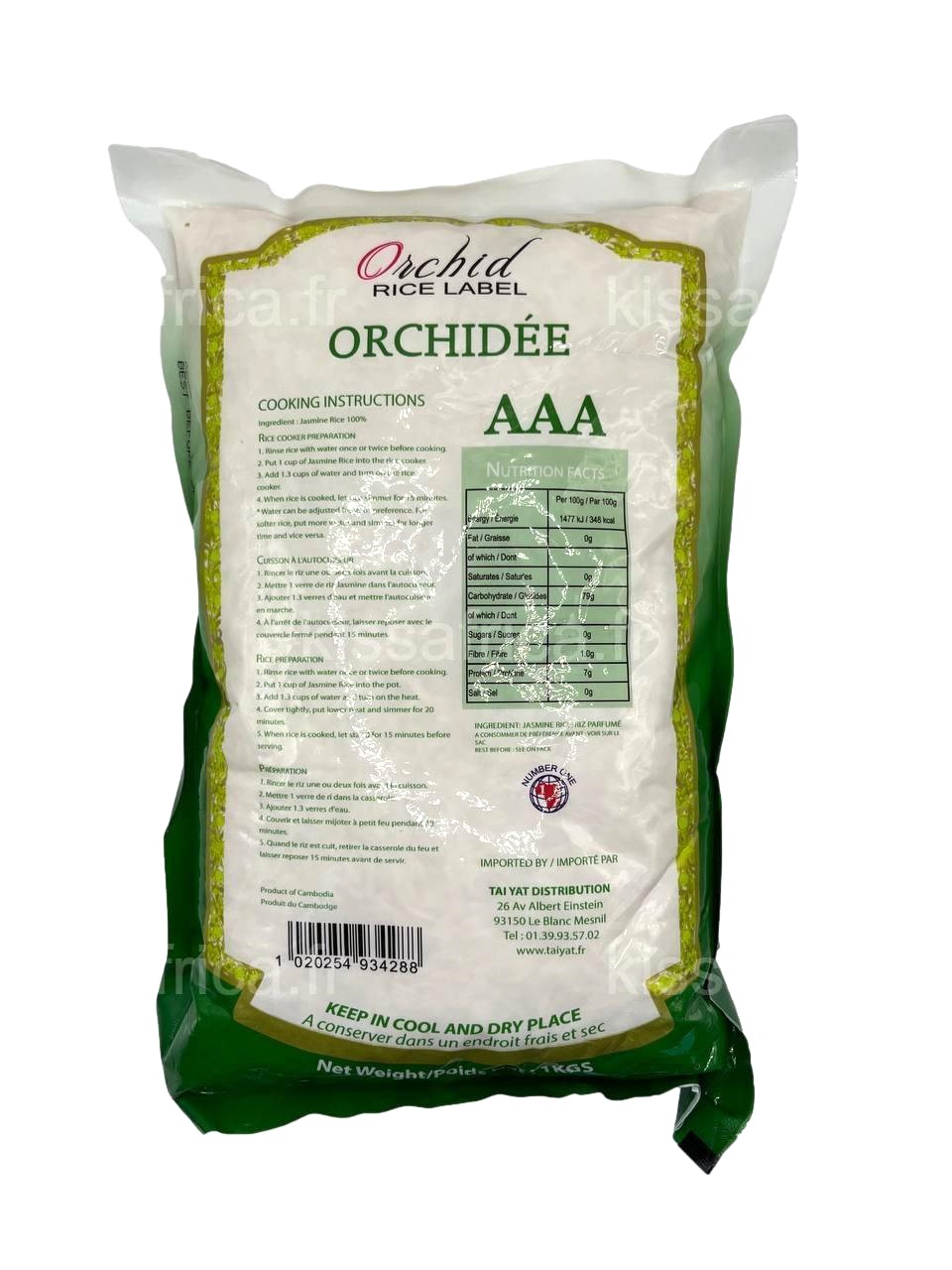 orchidee vert dos