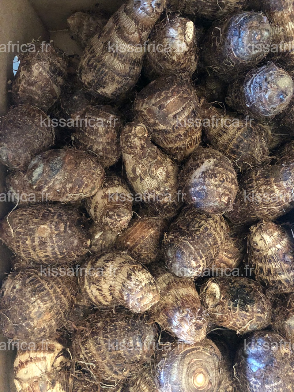 taro