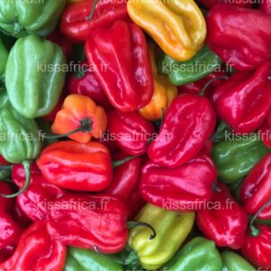 Légumes Frais