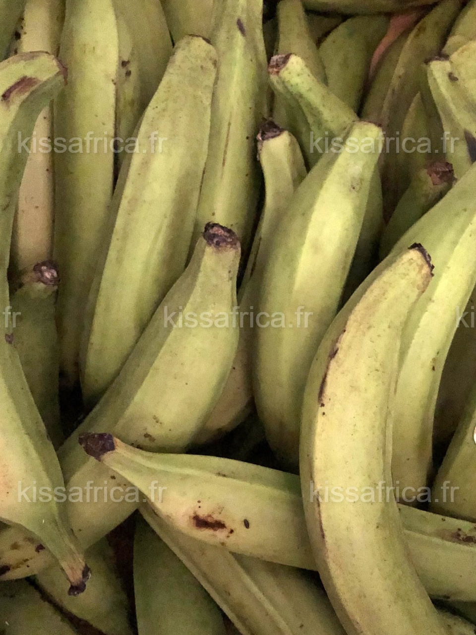 bananes plantains